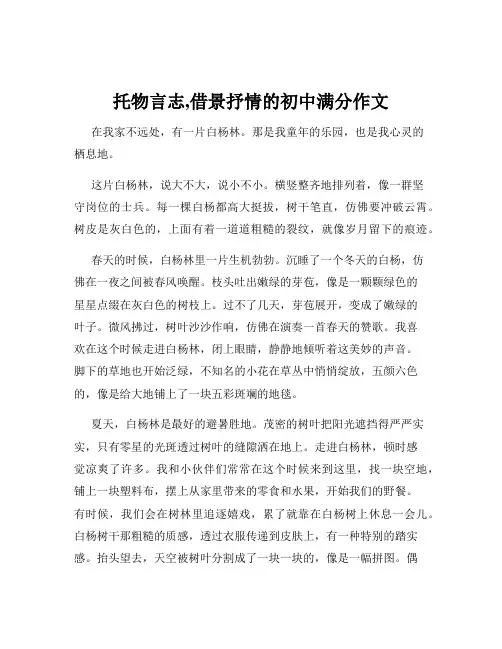 托物言志,借景抒情的初中满分作文