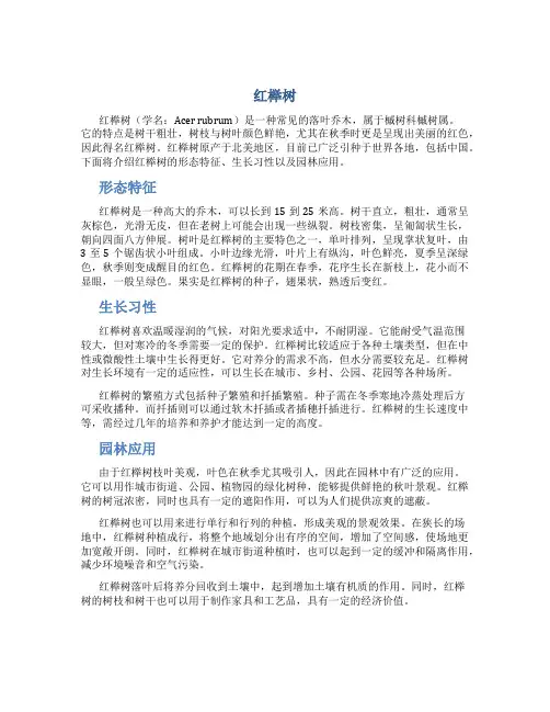 红榉树_精品文档