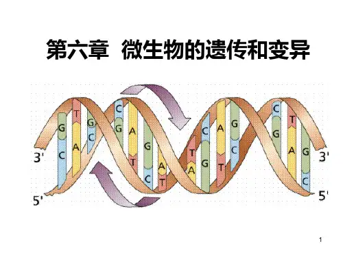 微生物的遗传和变异完美PPT课件