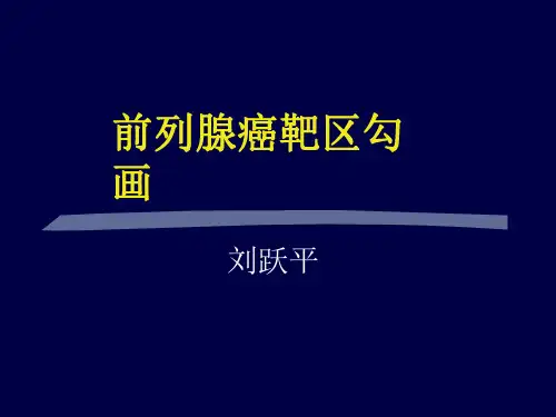 前列腺癌靶区勾画