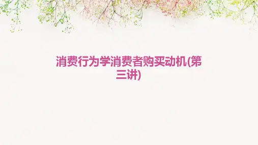 消费行为学消费者购买动机(第三讲)