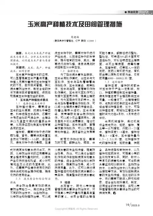 219336573_玉米高产种植技术及田间管理措施