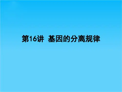 高中生物一轮复习 第16讲 基因的分离规律课件