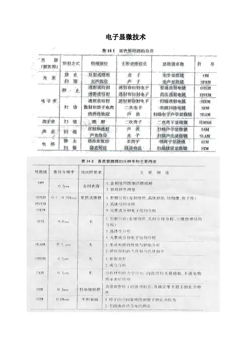 电子透射显微镜