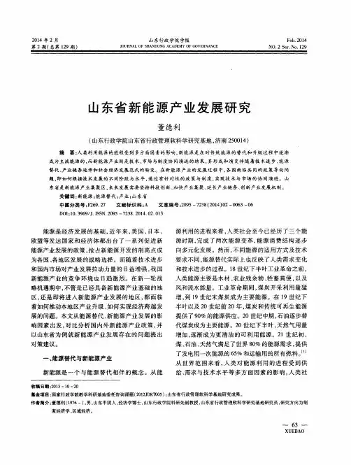 山东省新能源产业发展研究