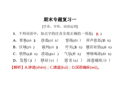 人教版八年级语文上册课件：期末专题复习一 28共19张PPT29