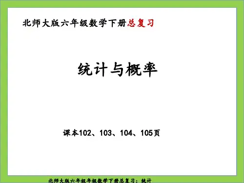 北师大版六年级数学下册总复习：统计与概率