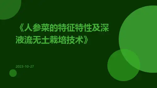 人参菜的特征特性及深液流无土栽培技术