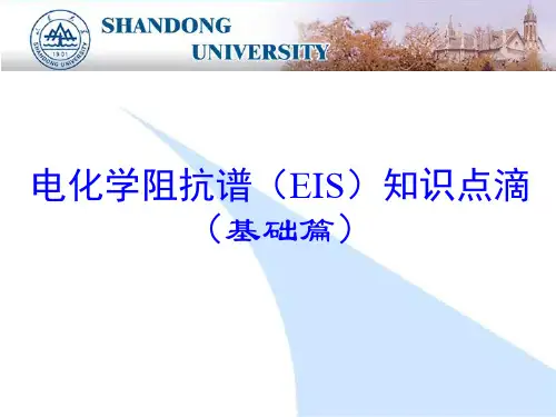 11 电化学阻抗谱知识点滴(山东大学)