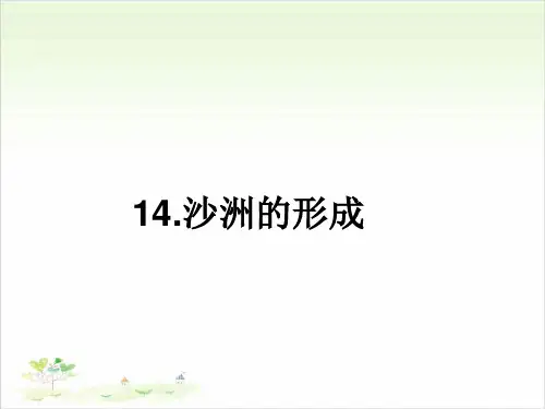 五年级下册公开课-14沙洲的形成 冀教版课件下载