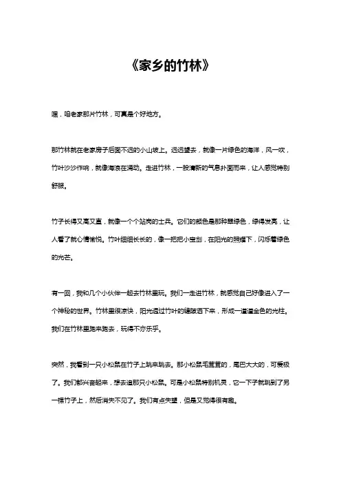家乡的竹林