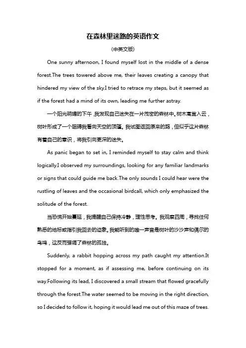 在森林里迷路的英语作文