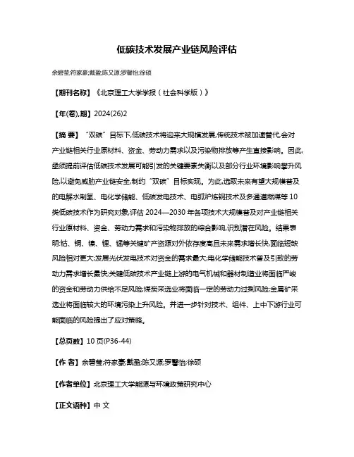 低碳技术发展产业链风险评估