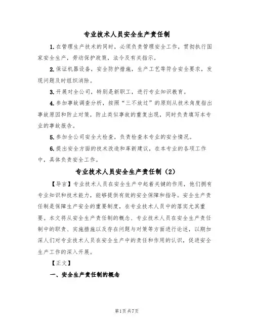 专业技术人员安全生产责任制（5篇）