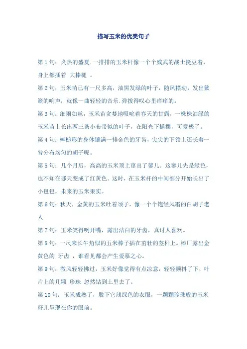 描写玉米的优美句子