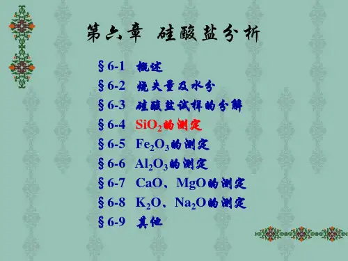 硅酸盐分析
