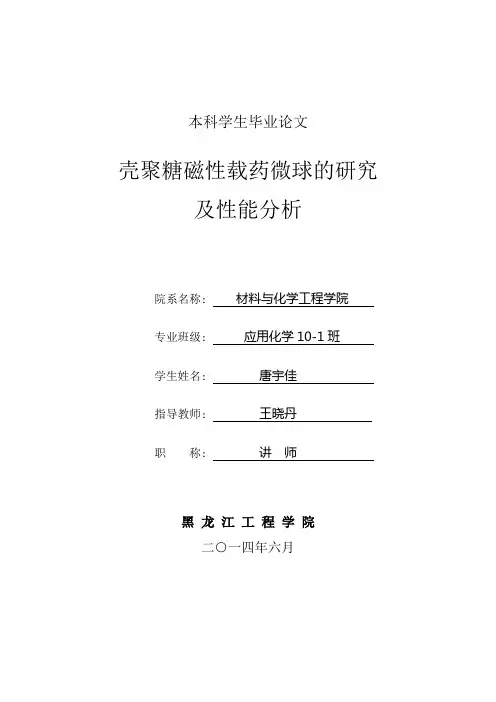 壳聚糖磁性载药微球的研究及性能分析