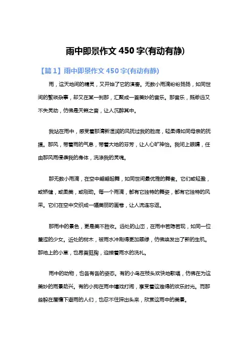 雨中即景作文450字(有动有静)