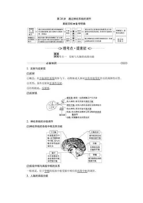 高中生物第26讲通过神经系统的调节优秀教案