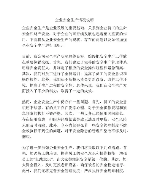 企业安全生产情况说明