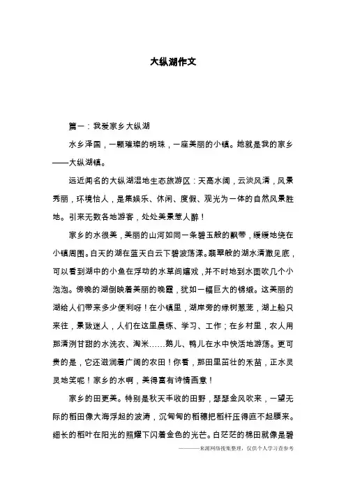大纵湖作文