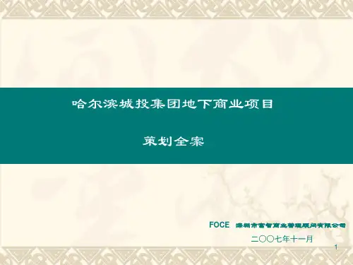 某集团地下商业项目策划全案