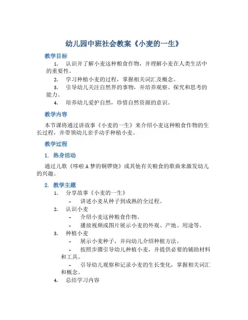 幼儿园中班社会教案《小麦的一生》