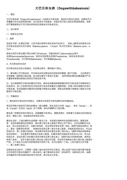犬巴贝斯虫病（Dogswithbabesiosis）