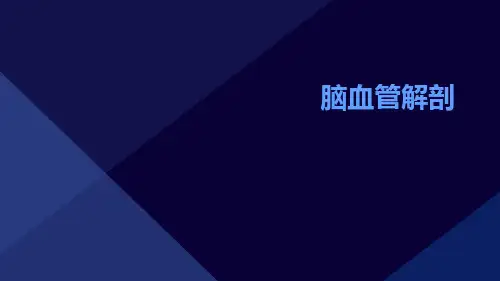 (医学课件)脑血管解剖