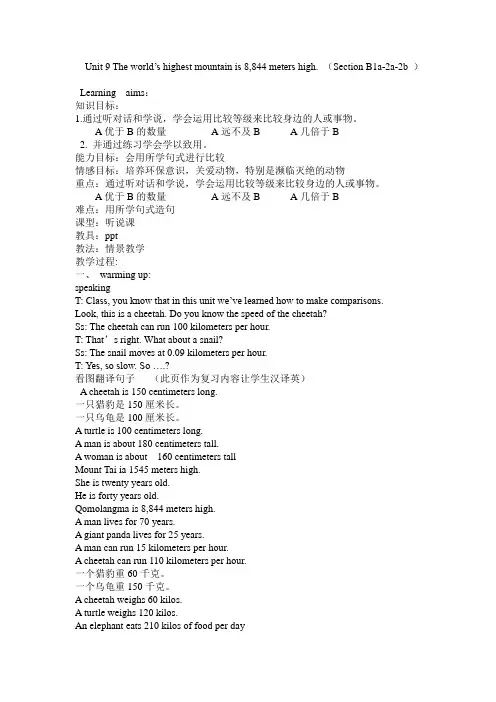 鲁教版英语九年级unit9第三课时B-2a-2b.教案