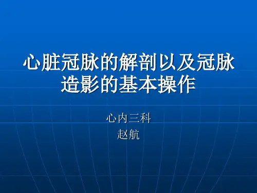心脏冠脉的解剖以及冠脉造影的基本操作