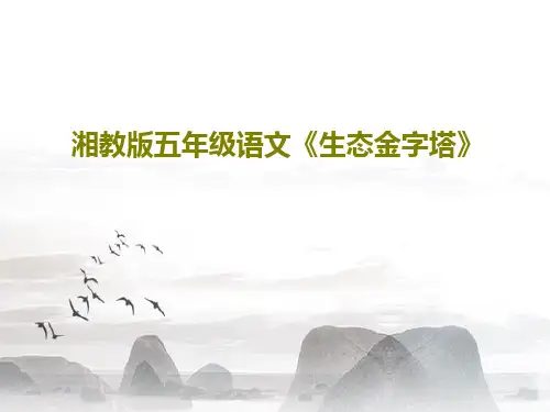 湘教版五年级语文《生态金字塔》共32页文档