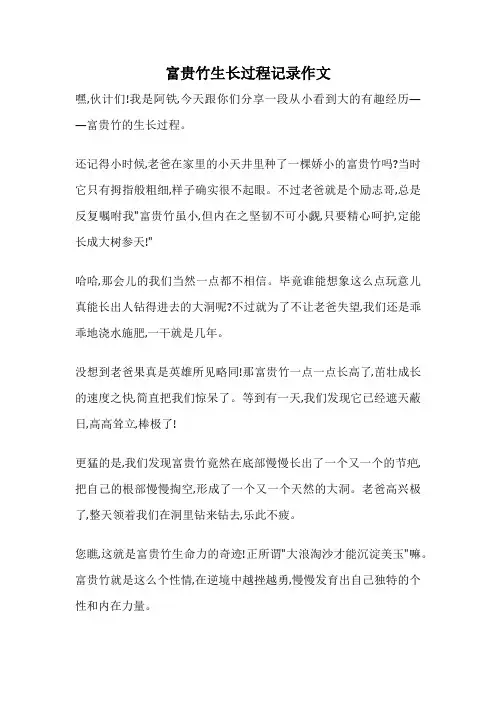富贵竹生长过程记录作文