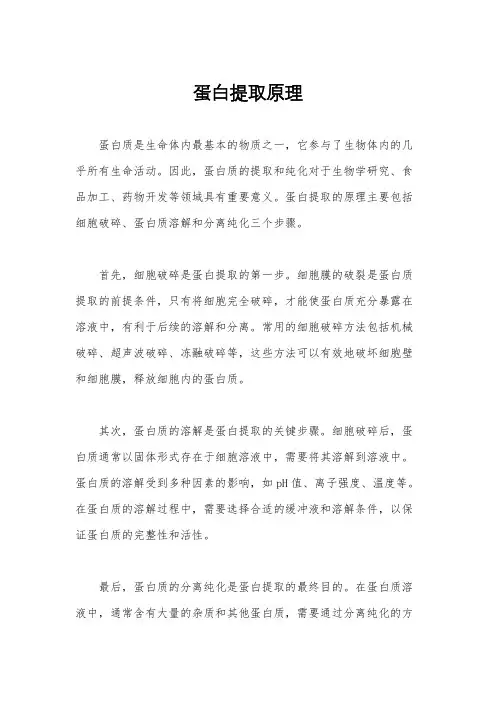 蛋白提取原理