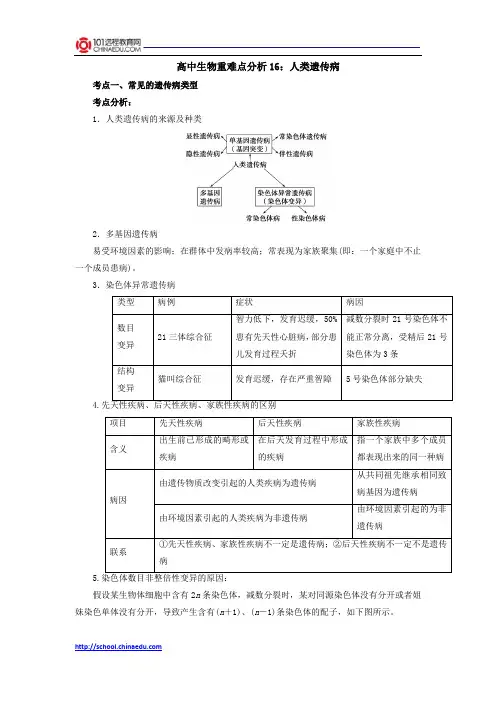 高中生物重难点分析16：人类遗传病