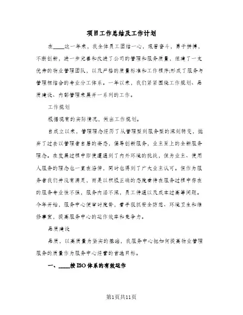 项目工作总结及工作计划（3篇）