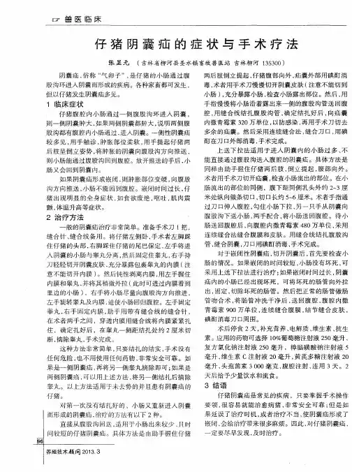 仔猪阴囊疝的症状与手术疗法