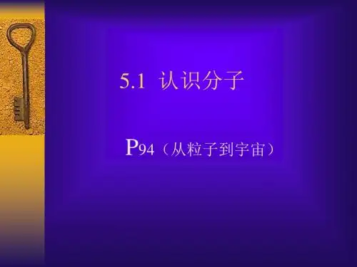 认识分子 PPT课件 粤教沪科版