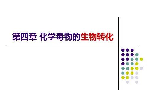 食品毒理学：第四章 化学毒物的生物转化