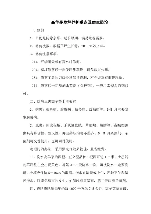 高羊茅草坪养护重点及病虫防治