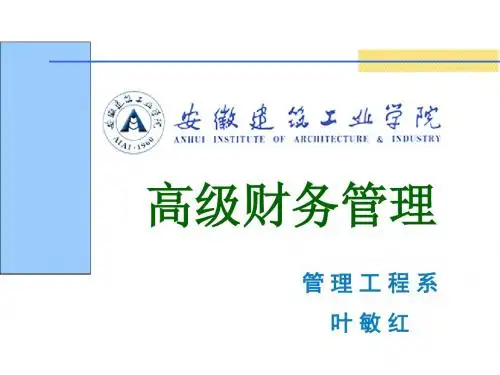 第五章 企业集团财务管理概述
