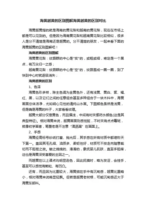 海黄越黄的区别图解海黄越黄的区别对比