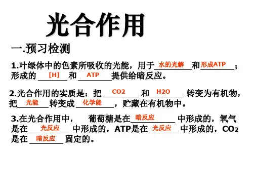 一轮复习光合作用和细胞呼吸(共27张PPT)