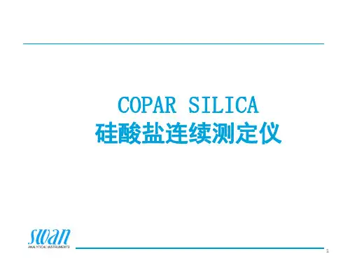 swan硅表培训PPT幻灯片