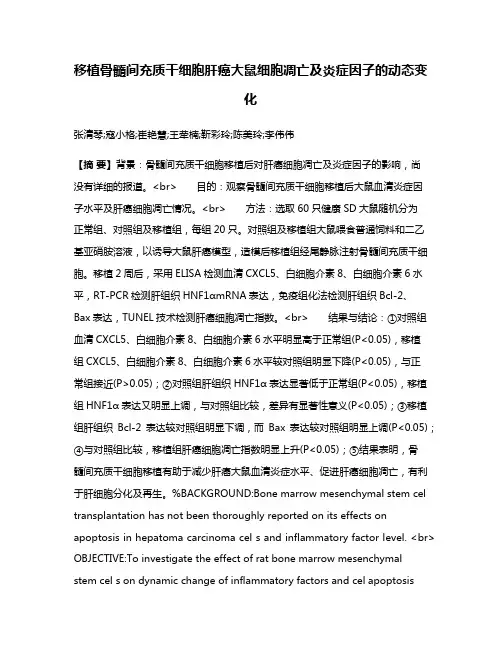 移植骨髓间充质干细胞肝癌大鼠细胞凋亡及炎症因子的动态变化
