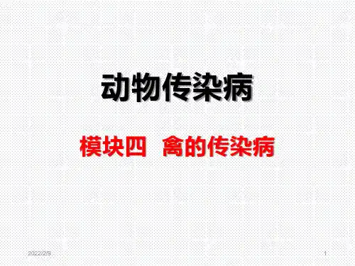 禽的传染病(鸡马立克氏病)