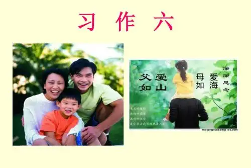 《父母的爱》的课件