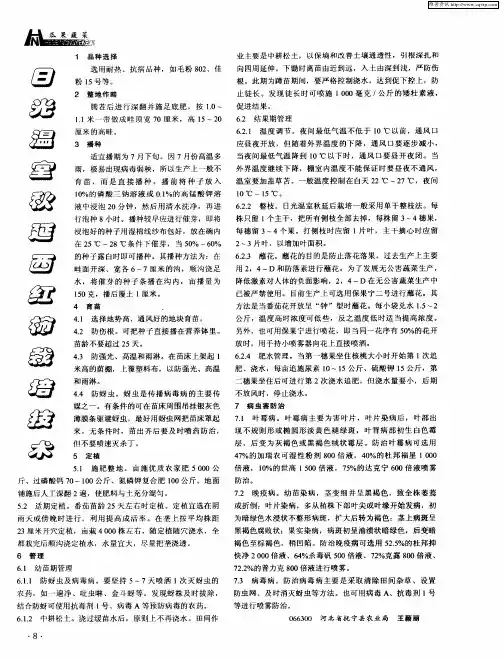 日光温室秋延西红柿栽培技术