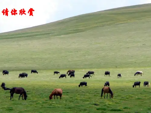 汽车仪表信号ppt课件