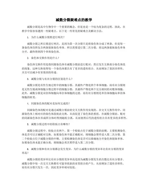 减数分裂疑难点的教学